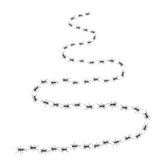 Worker ants trail line flat style design vector illustration isolated on white background. Top view of ants bug road trail marching in the line row. Pest control or insect searching concept.