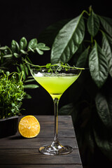A daiquiri rum cocktail and with green peas microgreens - obrazy, fototapety, plakaty