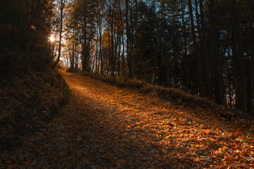 Las jesienną porą podczas zachodu słońca - droga na Kamieniołom Kozy © fotograbska