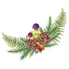 Watercolor illustration with fern, briar and blackberry berries, with cones, isolated on white background. Hand-drawn watercolor clipart. - 472555756