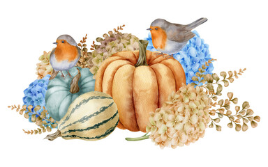 Watercolor illustration with pumpkins, hydrangeas, robin birds, isolated on white background. Hand-drawn watercolor clipart. - 472555768