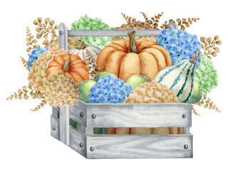 Watercolor illustration with pumpkins, hydrangeas, harvest, wooden crate, isolated on white background. Hand-drawn watercolor clipart. - 472555775
