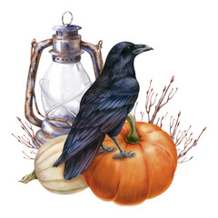 Watercolor illustration with black raven, pumpkins and vintage kerosene lamp, isolated on white background. Hand-drawn watercolor clipart. - 472555784
