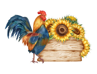 Watercolor illustration with rooster, sunflowers, and a wooden fence, isolated on white background. Hand-drawn watercolor clipart. - 472555785