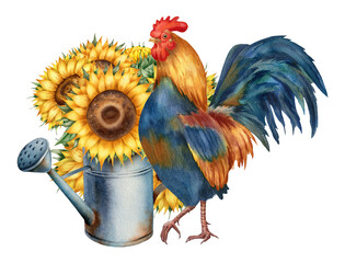 Watercolor illustration with rooster, sunflowers and watering can, isolated on white background. Hand-drawn watercolor clipart. - 472555786