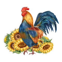Watercolor illustration with rooster and sunflowers, isolated on white background. Hand-drawn watercolor clipart. - 472555790