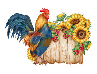 Watercolor illustration with rooster, sunflowers, raspberry, wooden fence, isolated on white background. Hand-drawn watercolor clipart. - 472555791