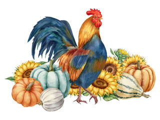 Watercolor illustration with rooster, sunflowers and pumpkins, isolated on white background. Hand-drawn watercolor clipart.