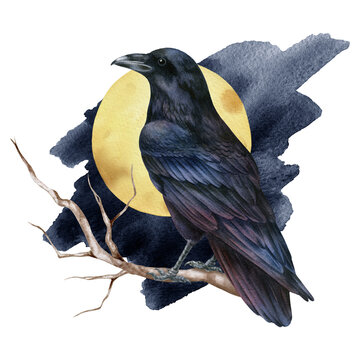 Watercolor illustration with black raven and fool moon, isolated on white background. Hand-drawn watercolor clipart.