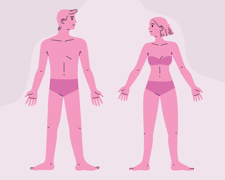 Male and female bodies in underwear, front view. Man and woman standing. Hand drawn vector colorful funny cartoon style illustration