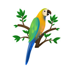 blue and yellow macaw illustration