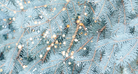 Branch of blue spruce against the background of falling snow and lights from garlands