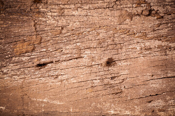 Background texture old brown wooden board.