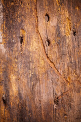 Background texture old brown wooden board.