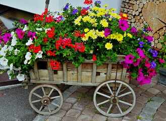Fototapeta na wymiar Austrian Alps - view of a cart with flowers in the town of Holzgau in the Lechtal Alps