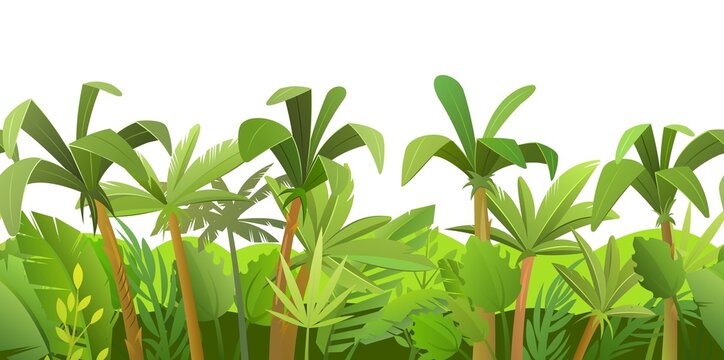 Rainforest background. Jungle trees. Cartoon fun style. Isolated on white background. Seamless landscape with palm tree vector.