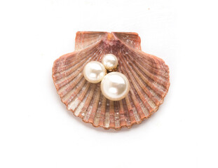 pearls on a shell on a white background