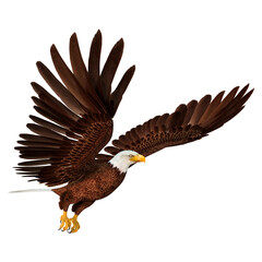 3D Rendering Eagle on White