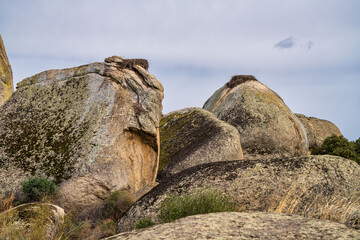 Los Barruecos Natural Monument, Malpartida de Caceres, Extremadura, Spain.