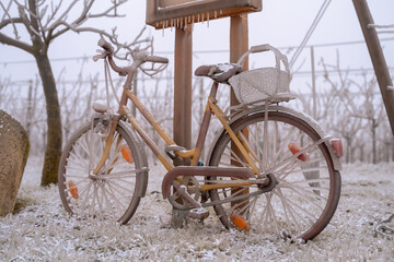 Frozen bike covered with ice. Frozen bike in the middle of wintry vineyard. Frozen rain has transformed nature into an ice landscape.