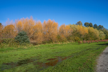 Larsen Lake Blueberry Farm