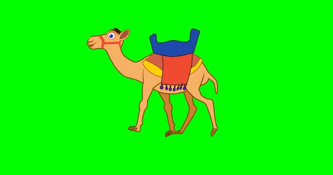 Walking camel caravan, walk cycle loop animation