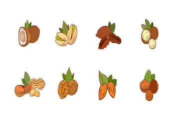 Set of Nuts and Seeds Icons. Pistachio, Cashew, Hazelnut, Walnut, Pecan, Coconut, Peanut, Macadamia Nut, Almond in Vintage Cartoon Style Isolated.