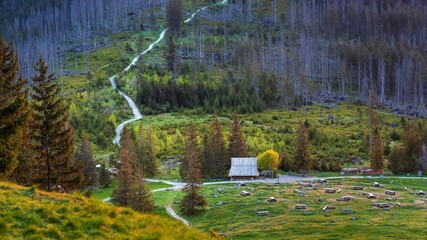 Ogólny widok na Rusinową Polanę w Tatrach bardzo znane miejsce turystyczne - obrazy, fototapety, plakaty