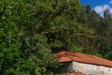San Pedro de Rocas monastery, Esgos, Ourense province, Galicia, Spain