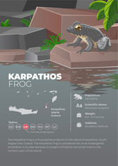 Animal Infographic Series - Karpathos Frog