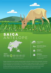 Animal Infographic Series - KakapoAnimal Infographic Series - Saiga Antelope