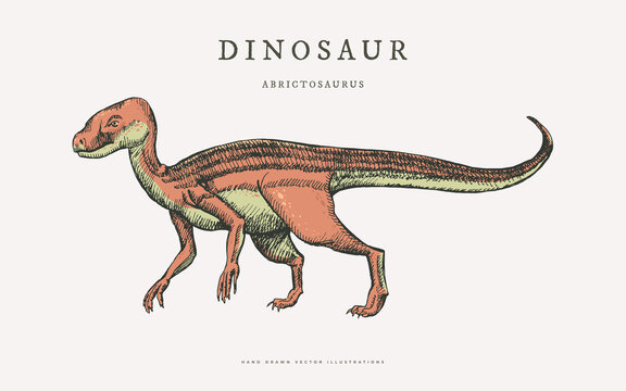 Hand-drawn herbivorous dinosaur Abrictosaurus on a light isolated background. An ancient lizard that lived during the Jurassic period. Vector illustration.