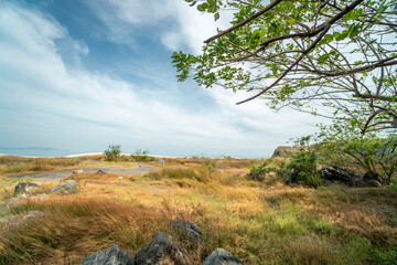 Pig hill , back beach , Vung Tau city , Vietnam