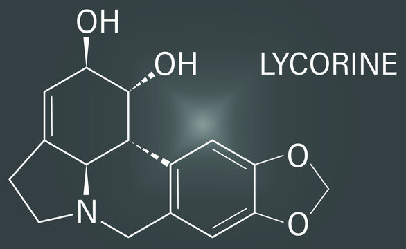 Lycorine alkaloid molecule. Found in Amaryllidaceae plants, including lilies and daffodils. Skeletal formula.