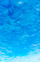 Fototapeta na wymiar 푸른 하늘(blue sky)