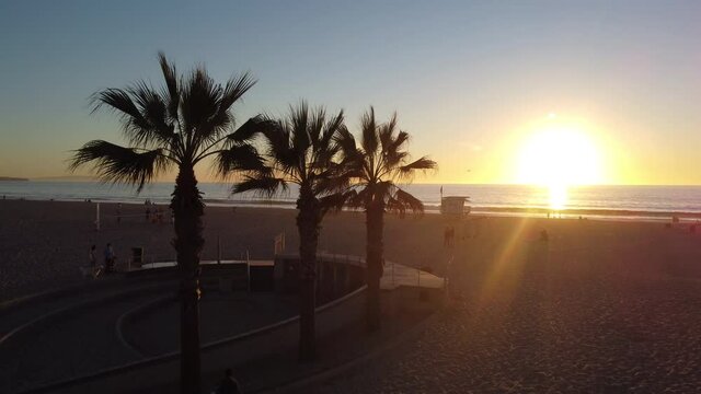 sunset rising over 3 palm trees in Hermosa Beach California