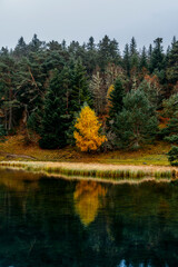 Bassa d'Oles lake with fog during autumn, located in the town of Vielha Mitg Aran, in the Pyrenees, in the Aran Valley, Catalonia.