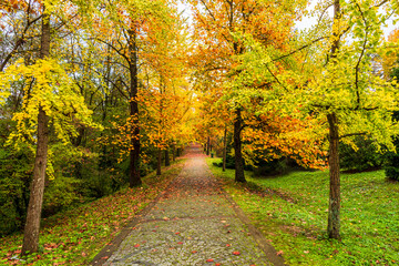 Ataturk Arboretum in Sariyer district of Istanbul