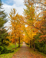 Fototapeta premium Ataturk Arboretum in Sariyer district of Istanbul
