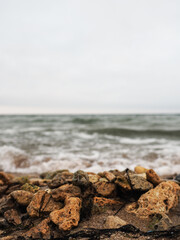 FOOTAGE FROM THE TRIP