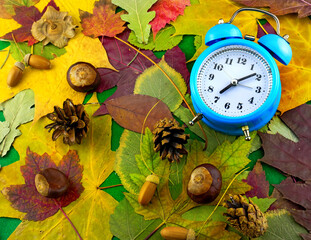  image of an alarm clock on autumn leaves background