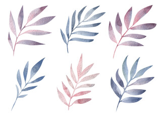 Fototapeta na wymiar Watercolor leaves. Pink and blue leaves on white background