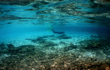 Fototapeta na wymiar underwater scene , caribbean sea , scuba