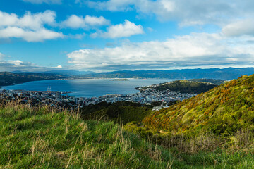 ニュージーランド　首都ウェリントンのブルックリン・アーミーバンカーの丘から見えるウェリントン港の風景とマウント・ビクトリア