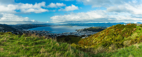 Fototapeta na wymiar ニュージーランド　首都ウェリントンのブルックリン・アーミーバンカーの丘から見えるウェリントン港の風景とマウント・ビクトリア