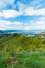 Obraz premium ニュージーランド 首都ウェリントンのブルックリン・アーミーバンカーの丘から見えるウェリントンの風景