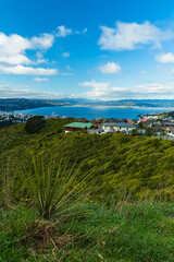 Fototapeta na wymiar ニュージーランド　首都ウェリントンのブルックリン・アーミーバンカーの丘から見えるウェリントンの風景