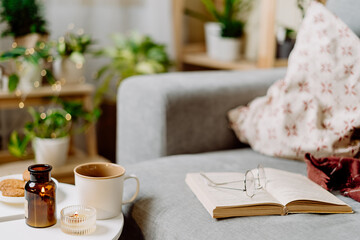 Book on Stylish Christmas room interior with indoor plants, light and decor. Winters holiday with...