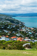 Fototapeta premium ニュージーランド 首都ウェリントンのウェリントン・タウン・ベルトの丘から見えるウェリントン港の風景と街並み