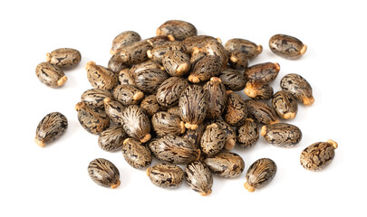 Castor beans isolated on white background